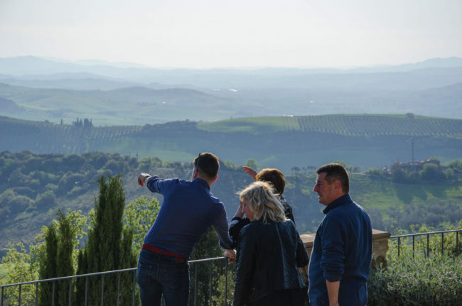Monte_Amiata_seggiano_DOP_Olearie_2018_Panorama