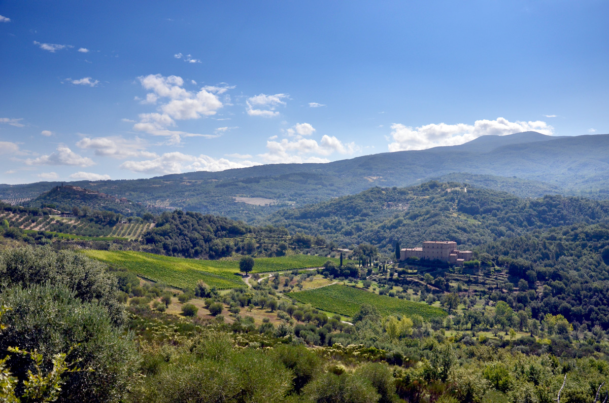 Seggiano_Castello_Potentino_Monte_Amiata