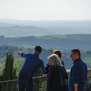 Monte_Amiata_seggiano_DOP_Olearie_2018_Panorama