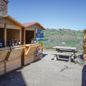 Monte_Amiata_seggiano_DOP_Olearie_2018_Stand