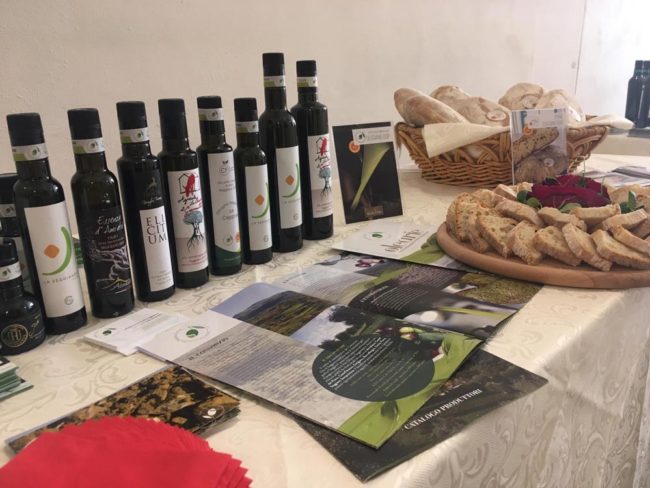 Gli oli certificatori del Consorzio di tutela Olio Seggiano Dop Gli oli certificatori del Consorzio di tutela Olio Seggiano Dop
